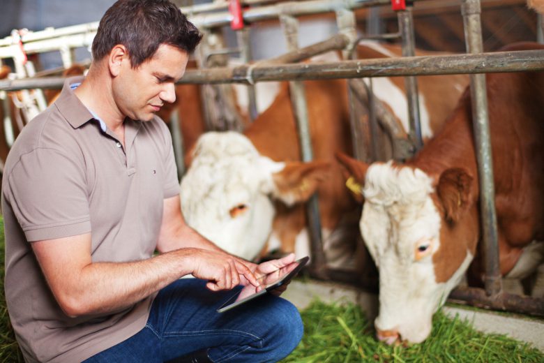Smartbow Gründer Wolfgang Auer hebt die Rinderzucht ins digitale Zeitalter. ©Smartbow
