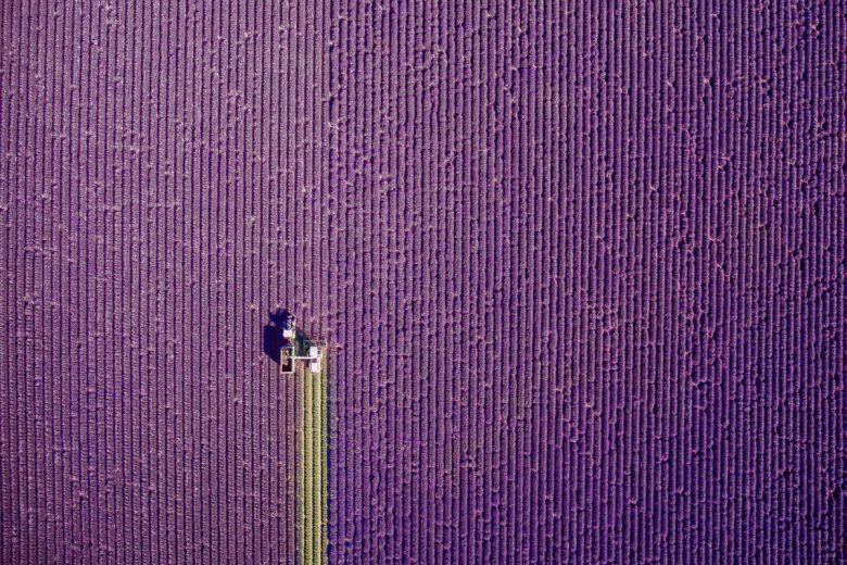 1. Platz Kategorie "Nature". © jcourtial/Dronestagram