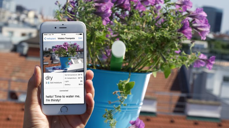 HelloPlant: App kommuniziert mit Sensor. © HelloPlant