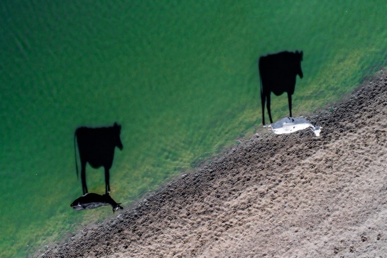 Special Prize "Creativity". © Luke Maximo Bell/Dronestagram