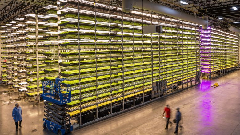 Vertical Farming bei AeroFarms. © AeroFarms