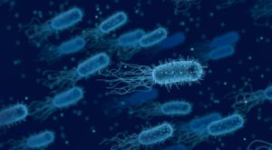 Illustration von Bakterien. © Bild von Arek Socha auf Pixabay