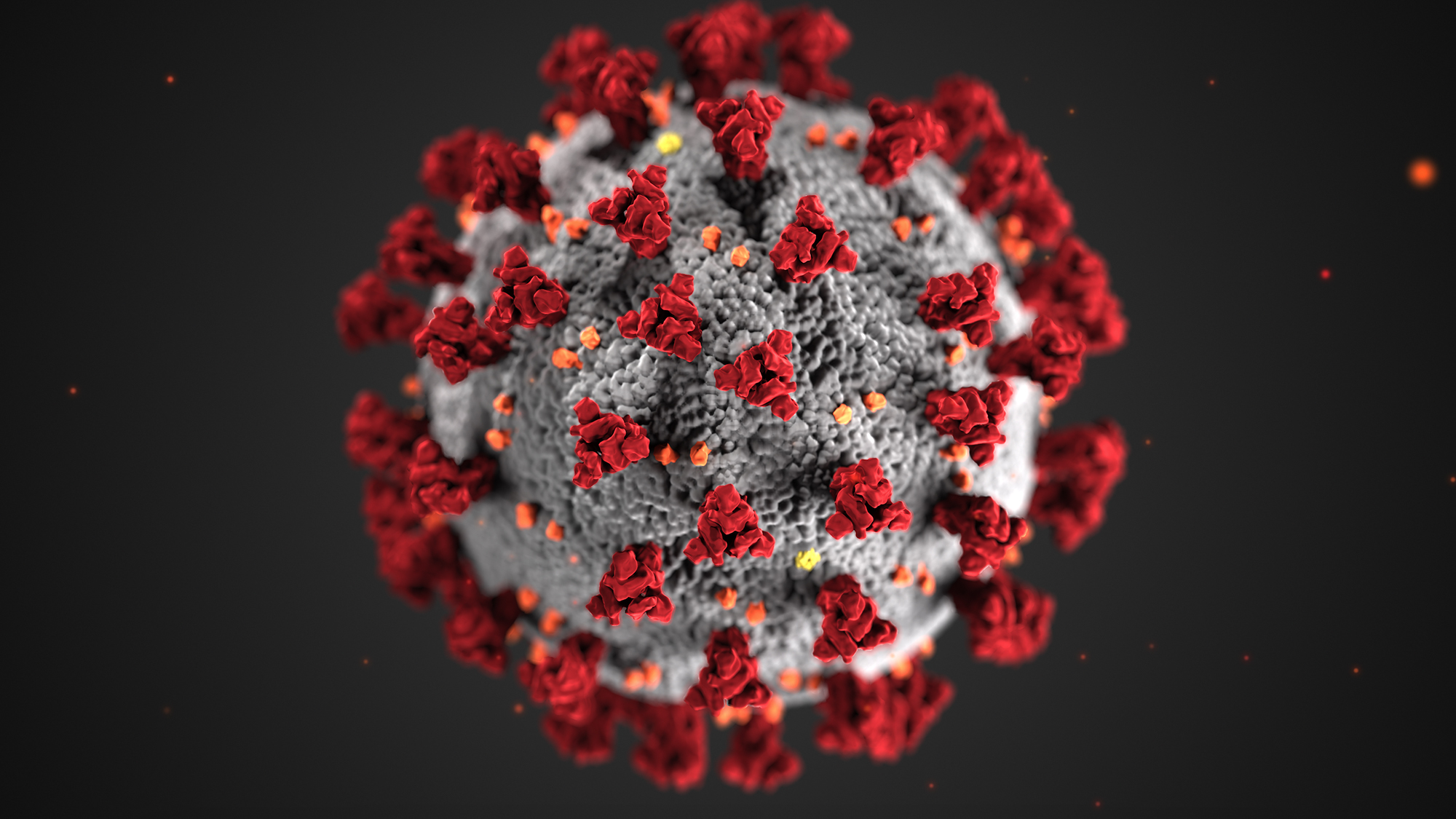 Coronavirus. © CDC