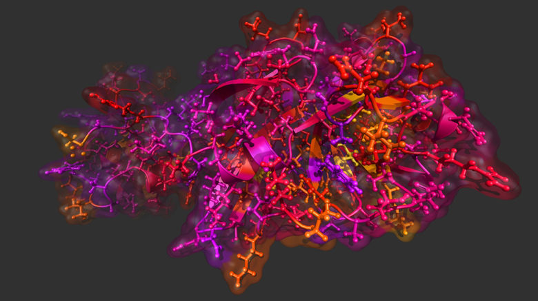 Innophore simuliert das Virus SARS-CoV-2 © Innophore