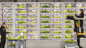 Vertikale Indoor-Farmen von Infarm. © Infarm