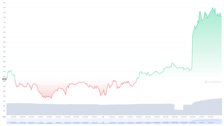 Der Binance Coin-Chart der letzten 24 Stunden. © CoinMarketCap