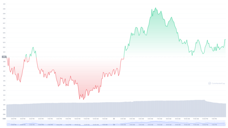 Der Binance Coin-Chart der letzten 24 Stunden. © CoinMarketCap