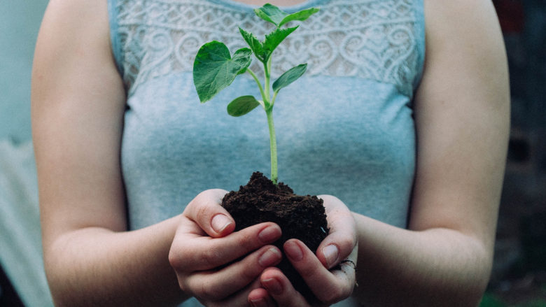 Wachstum: "Grow" von Deloitte hilft nachhaltigen Startups © Nikola Jovanovic on Unsplash