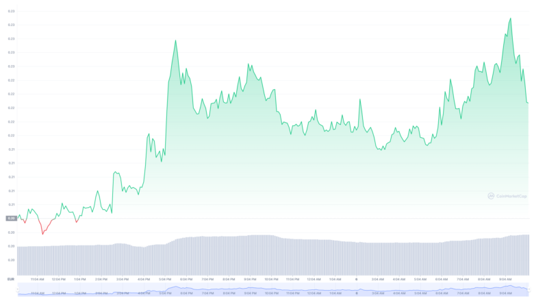 Der Dogecoin-Chart der letzten 24 Stunden. © CoinMarketCap