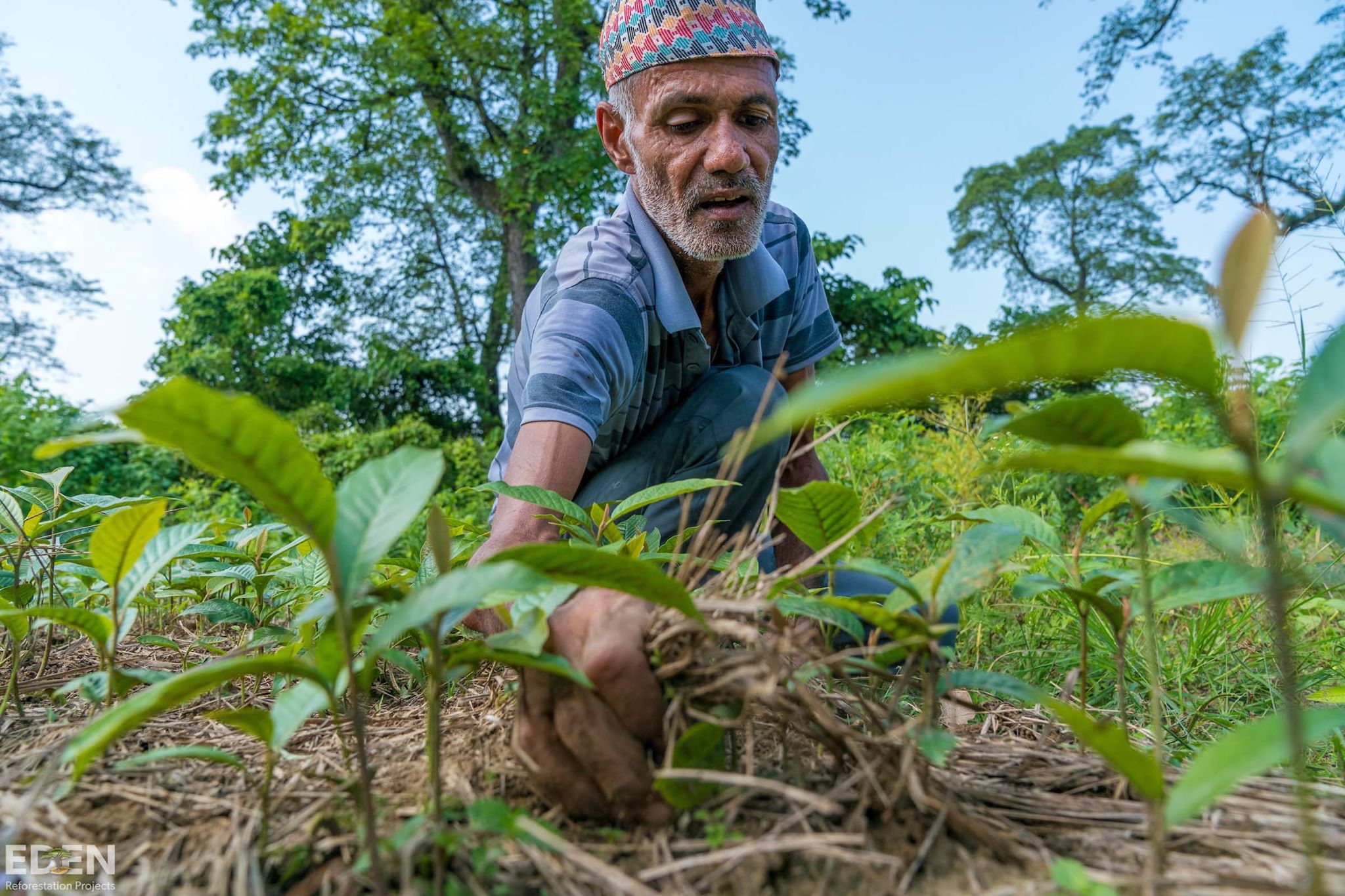 © Eden Reforestation Projects