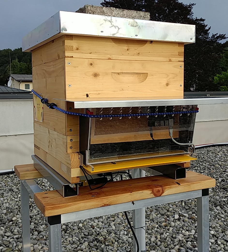 Der smarte Bienenstock in Pörtschach. © Christian Inzko