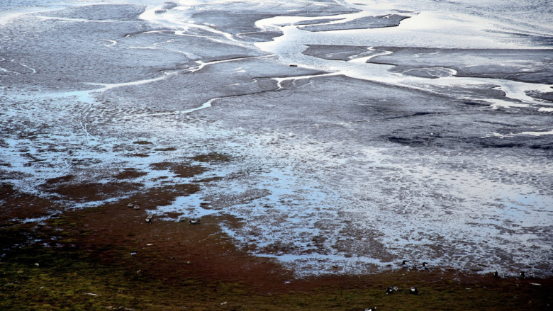 Permafrost: Tau kann Methan freisetzen © FlorenceD-pix on Pixabay