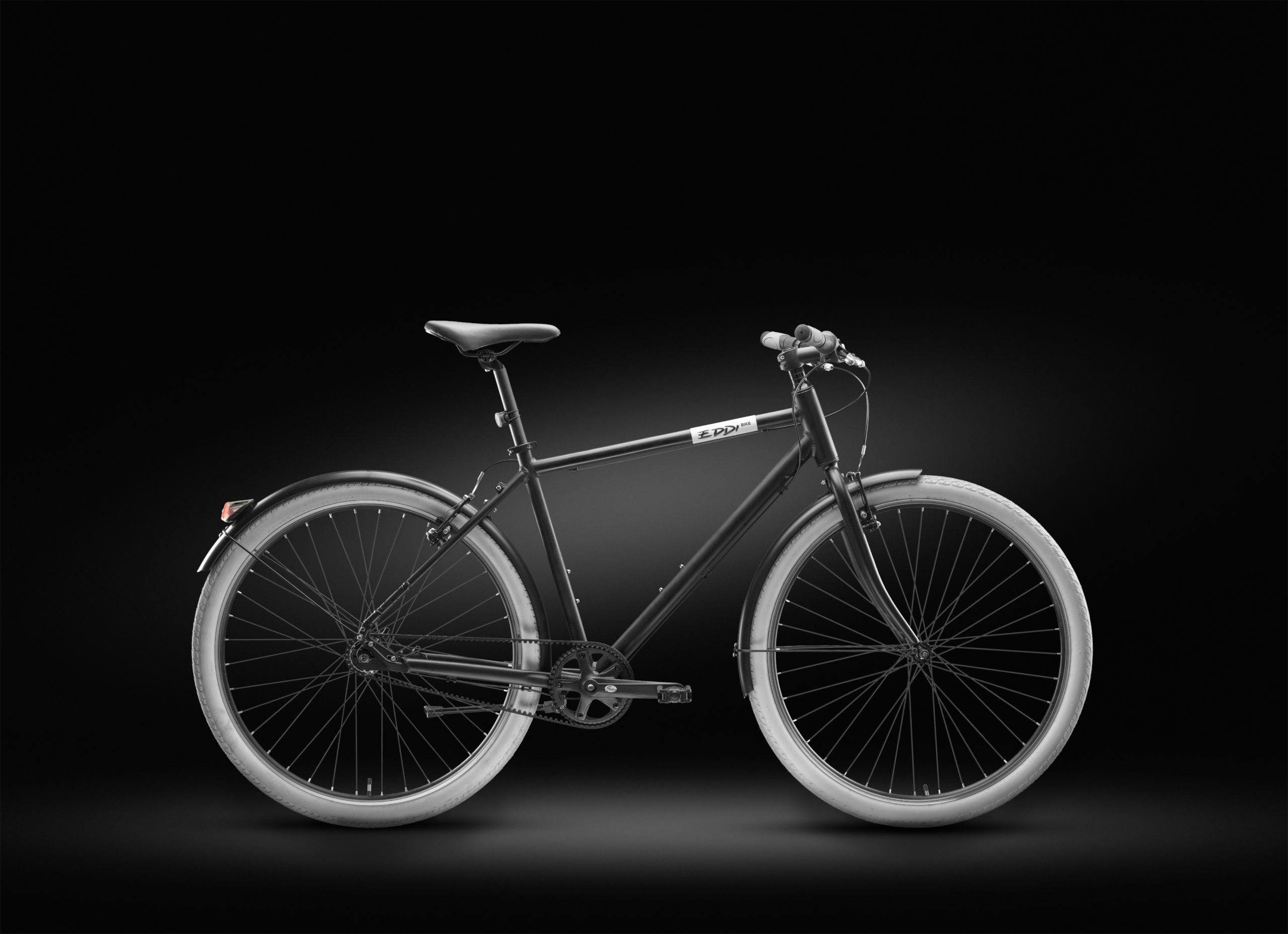 So sieht das EDDI Bike aus. ©Markus Fruehmann
