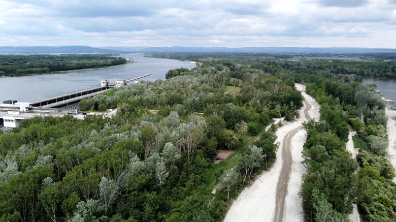 Hier entsteht ein Donau-Nebenarm als Fischwanderhilfe in Altenwörth © Verbund