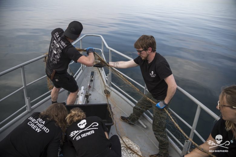 Das Team beim Bergen von Fischernetzen © Gillnet Salvage/ Sea Shepherd_DE