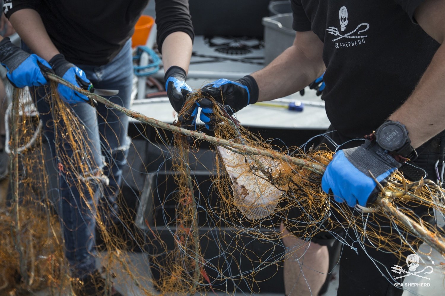 "Geisternetze" © Gillnet Salvage/ Sea Shepherd_DE