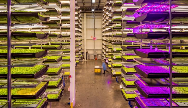 Das US-Startup Aerofarms baut Gemüse vertikal an © Aerofarms