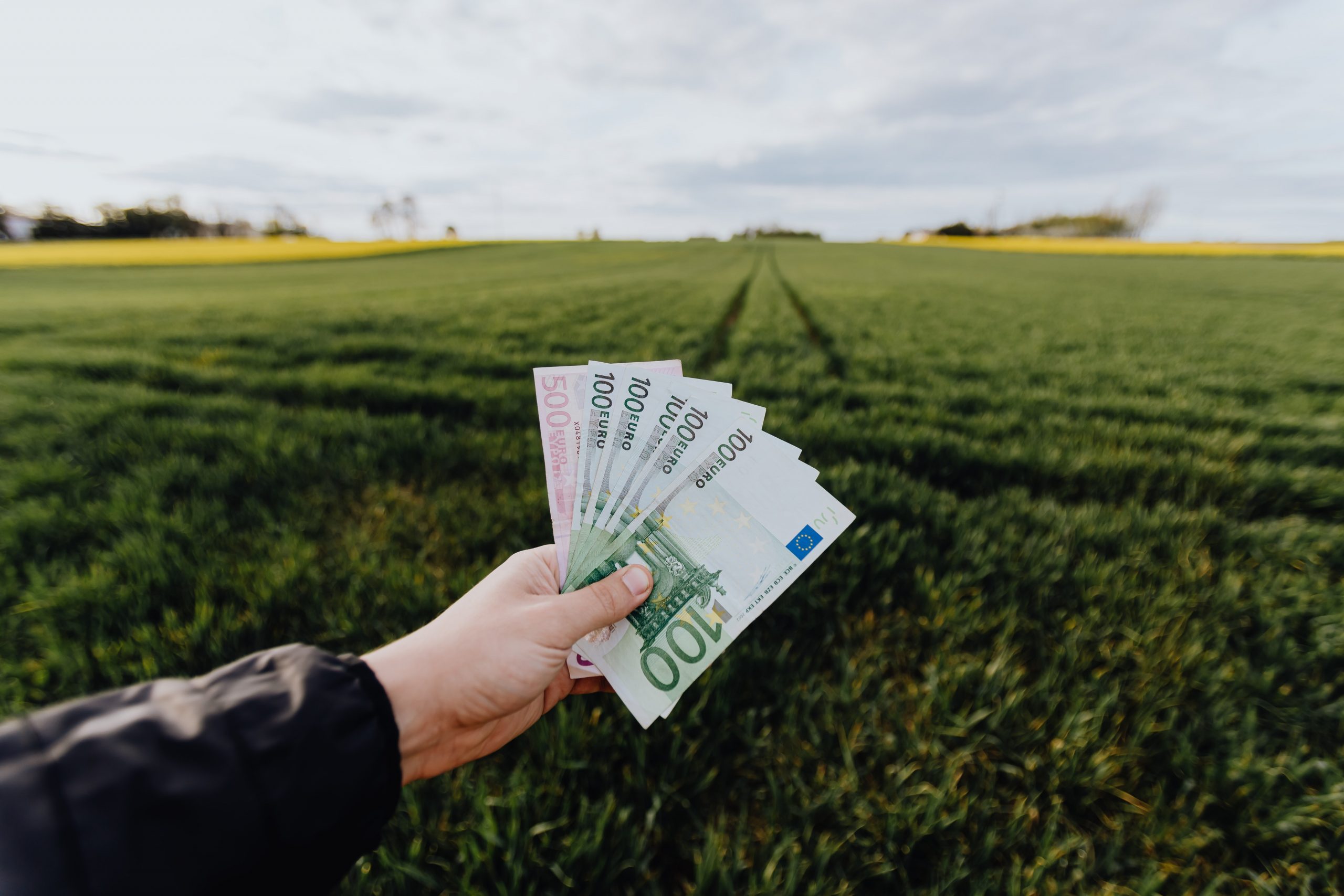 Viele Österreicher:innen wünschen sich mehr Transparenz bei grünen Finanzprodukten © Pexels
