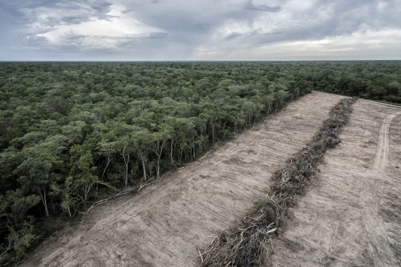 Die weltweite Entwaldung soll bis 2030 gestoppt werden © Marcelo Perez del Carpio / Climate Visuals Countdown