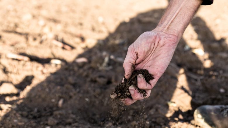 Trockenheit, Dürre, Erde, Landwirtschaft, Acker