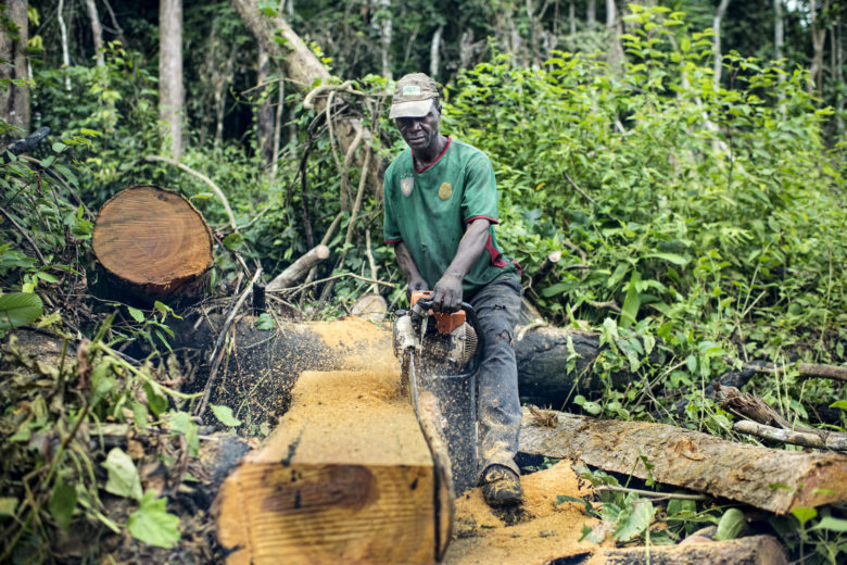 Aus den Tropensorten Mahagoni und Teak werden häufig Möbel hergestellt © Ollivier Girard/CIFOR/Climate Visuals