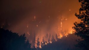 Wildfire, Buschfeuer, Feuer, Brand, Großbrand, Waldbrand, Hitze, Klimawandel, Temperatur