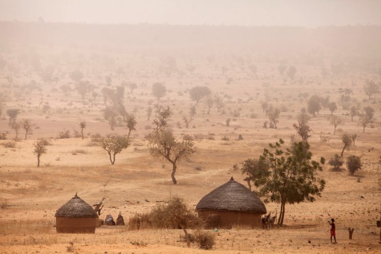 Ein typisches Dorf der Sahelzone in Niger © FAO