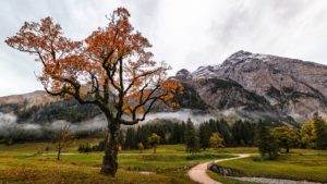 Mit Öffis zum Wanderweg – manchmal gar nicht so einfach © Unsplash