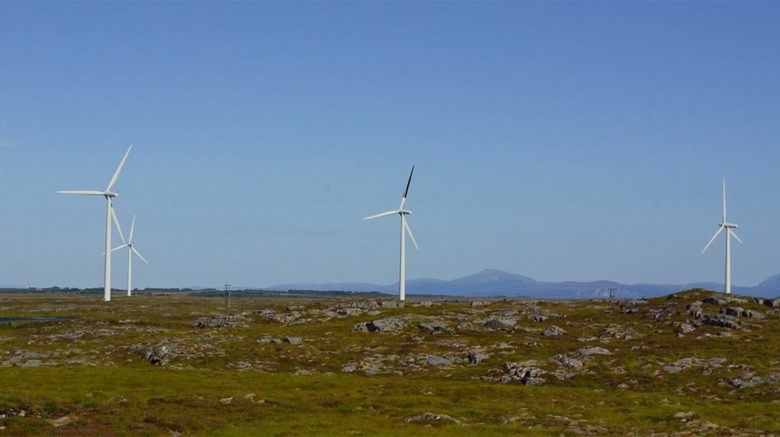 Norwegische Forscher haben Rotorblätter schwarz angemalt © Norwegian Institute for Nature Research