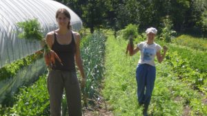 Freiwillige Helfer am Bauernhof © WWOOF Österreich