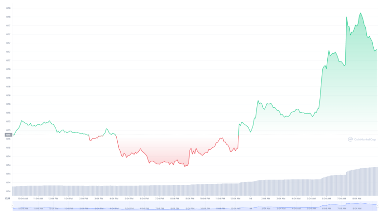 Der Dogecoin-Chart der letzten 24 Stunden © Coinmarketcap