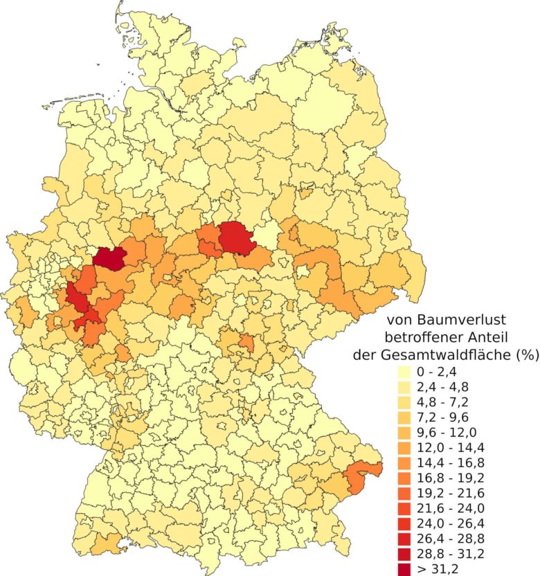 Die Baumverluste in Deutschland ©DLR/ Thonfeld 