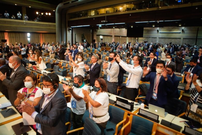 Große Freude bei den Anwesenden bei der Bekanntgabe der Resolution. ©UNEP