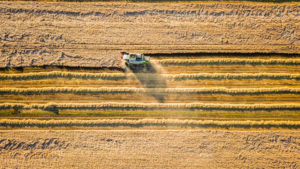 Ist die Neue Gentechnik Lösung oder Greenwashing? ©Hugh Williamson / Alamy Stock Photo