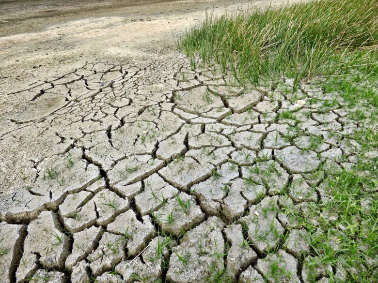 Die Klimakrise ist keine plötzliche Krise - sie kommt schleichend über Jahre. © Pexels