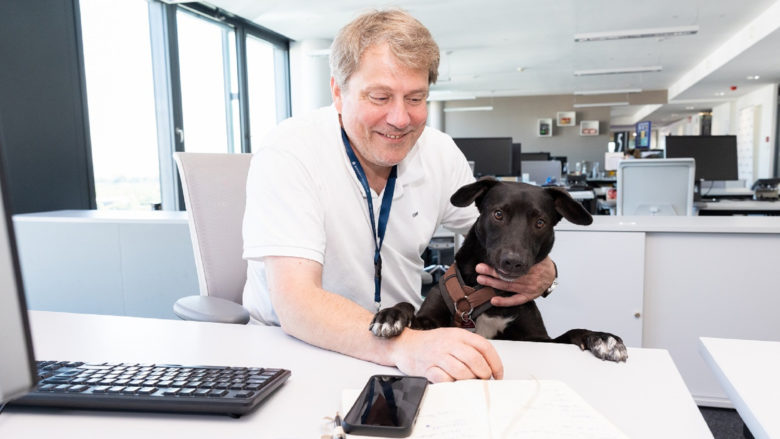 Hund im Büro © Mars Austria