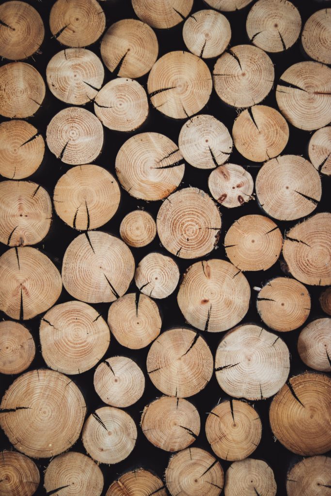 Holz. © Alexandre Jaquetoni on Unsplash