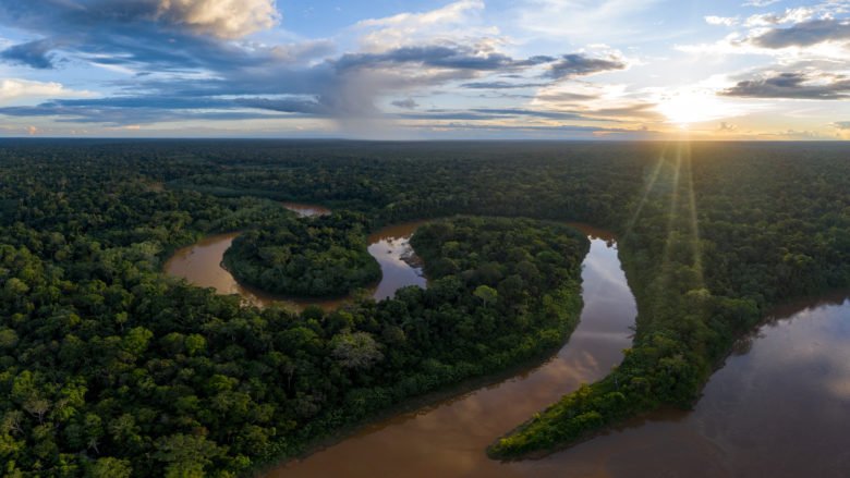 Regenwald in Peru: Projekt von GreenTrade © Wilderness International - Fabian Muehlberger