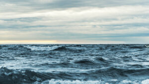 Meer: CO2 muss entzogen werden © Ant Rozetsky on Unsplash