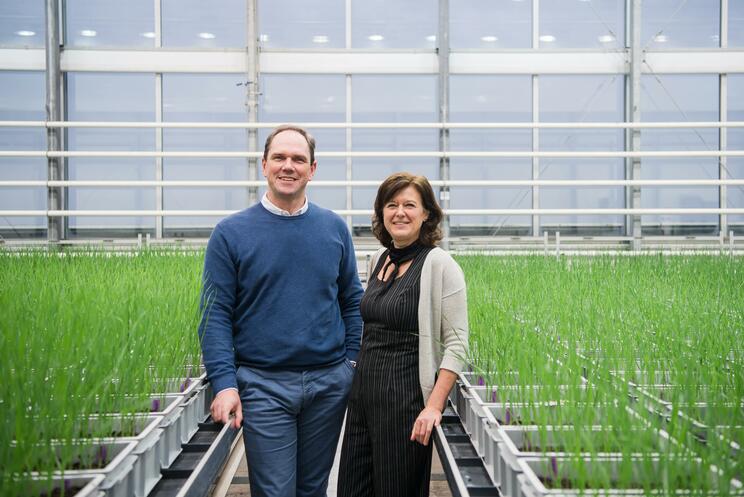 CEO Isabel Vercauteren und CTO Steven Vandenabeele von Aphea.Bio. © Aphea.bio