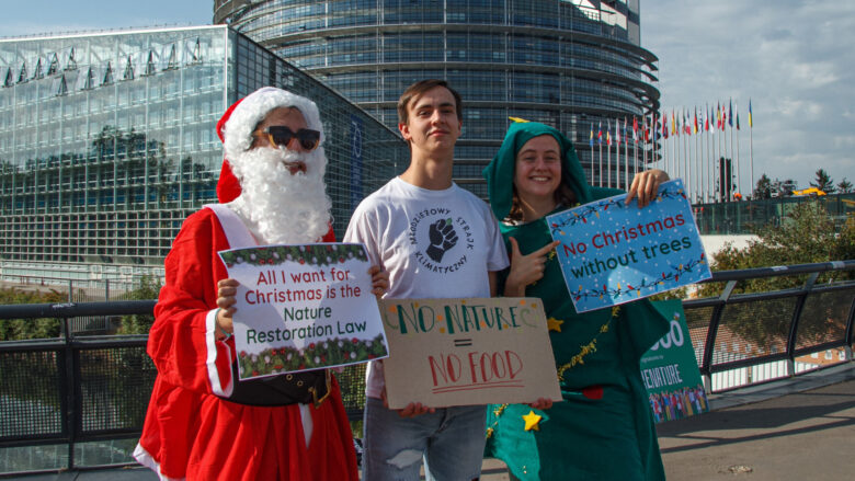 FFF in Straßburg (c) Fridays For Future Austria Presseteam