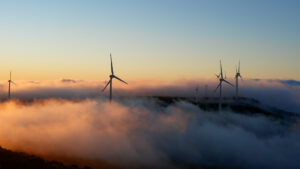 Windfarm in Portugal © Colin Watts on Unsplash