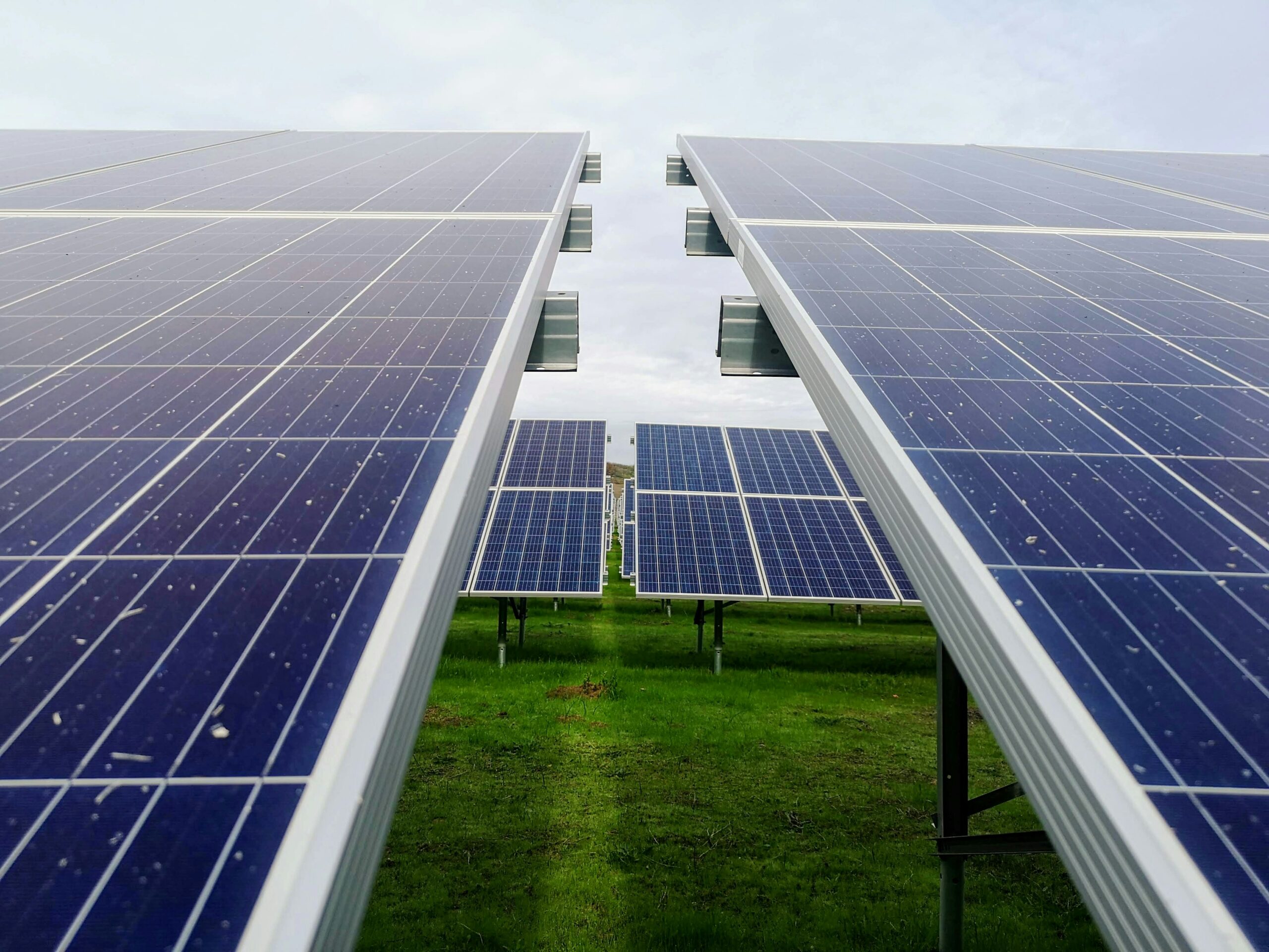 Suntastic Solar: Warum eine PV-Firma mitten im Solar-Boom pleite geht