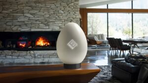 Das "Enron Egg" © Enron