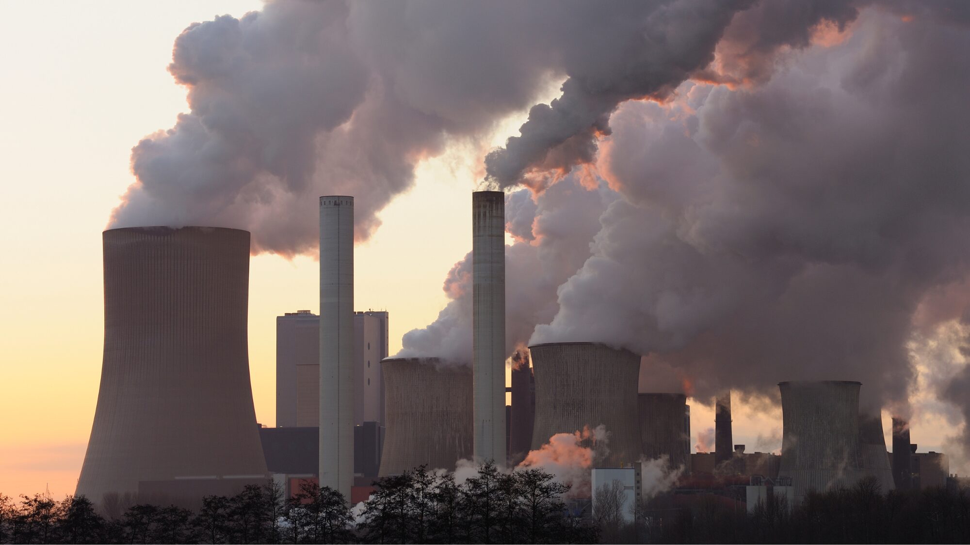 Entreprises allemandes : 30 millions de tonnes de CO₂ compensées d’ici 2030