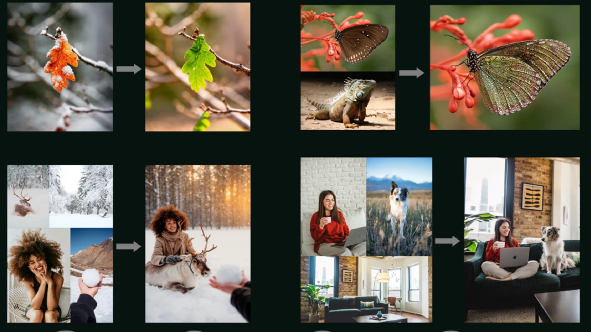 Black-Forest-Labs-300-Millionen-Dollar-f-r-deutsches-AI-Startup