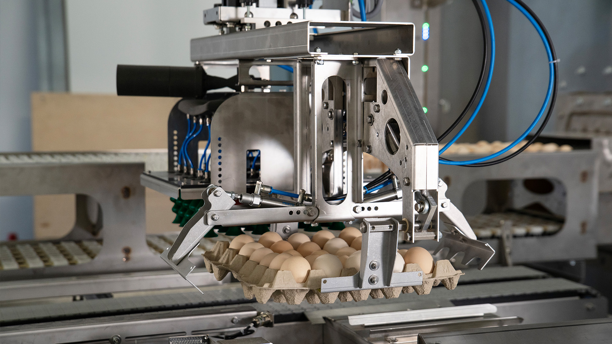 Genus Scale © Orbem