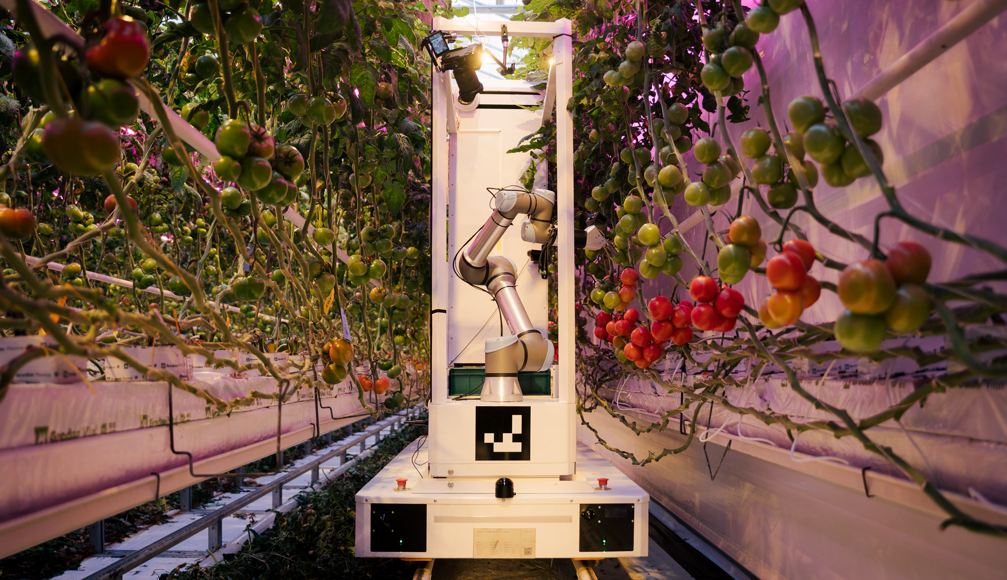 Der Harvester-Roboter © eternal.ag