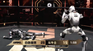 Robo Fight in China. © Screenshot