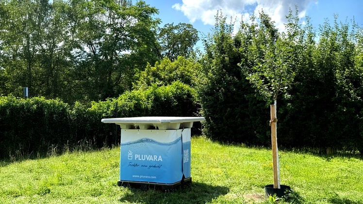 Der Pluvara-Regensammler © Pluvara